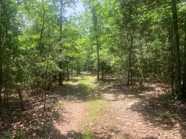 000 Pine Hollow Road A, Protem, MO 65733
