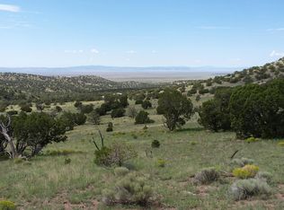 31 E Rock Springs Loop, Datil, NM 87821