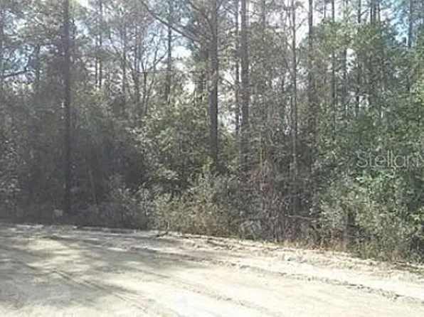 TBD SE 213TH TERRACE LOT 4, UMATILLA, FL 32784