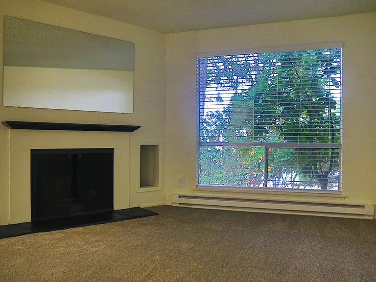 Living room/Fire Place