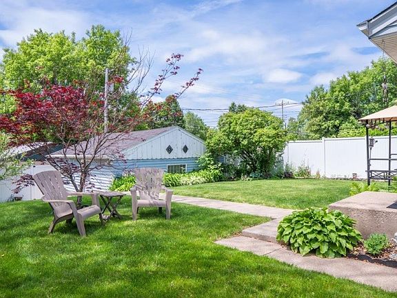 back yard 1