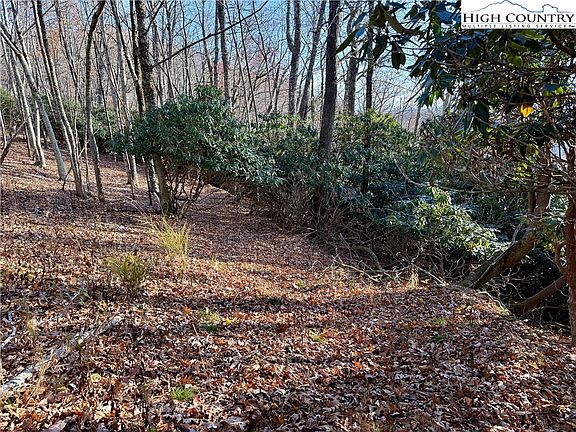 4th image of TBD Pheasant Walk Way