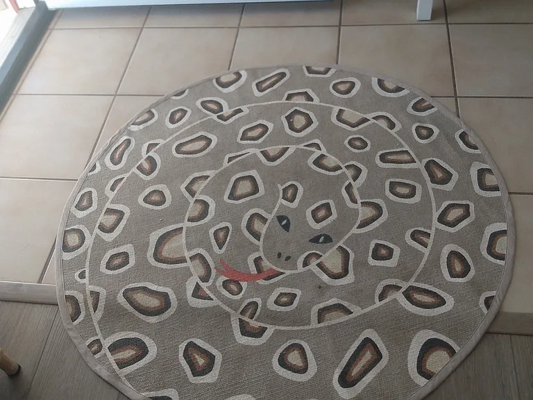 cute rug