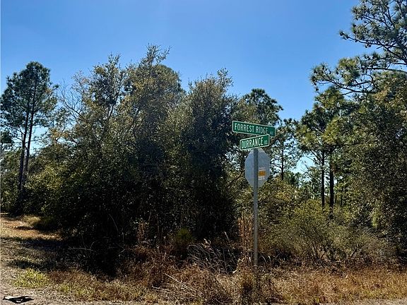 5th image of 3400 Forrest Ridge Ave