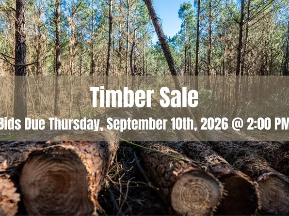 Timbersale, Alto, TX 75925
