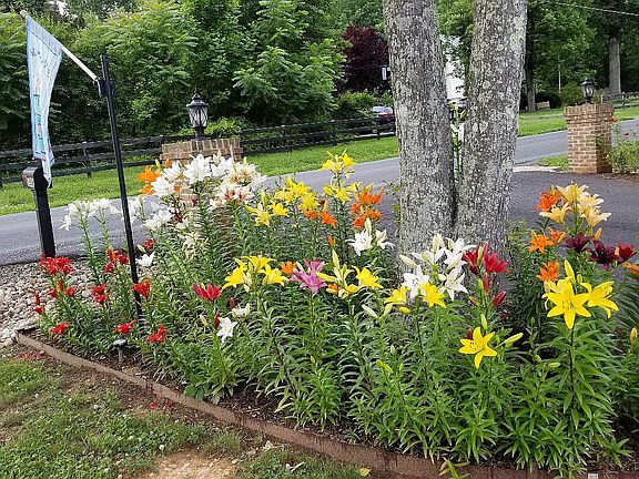 Entry Lighted Brick Pillars