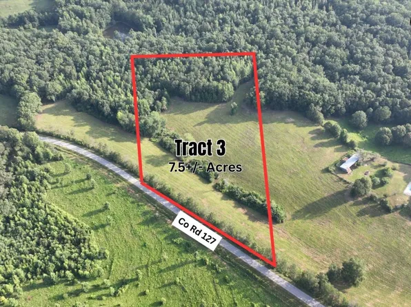 75/ACRE S County Road 127 Tract #3, Roanoke, AL 36274