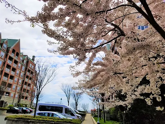 Sold by Mill Realty Group Inc. | media 47