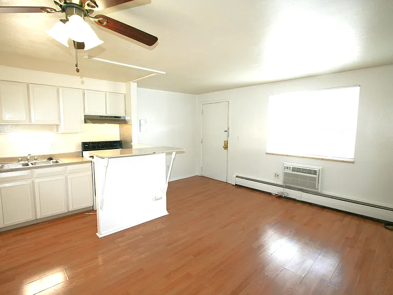 961 N Clarkson St #302 — Photo 4