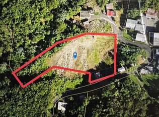 491-R Carr 130, Bo Naranjito, PR 00659