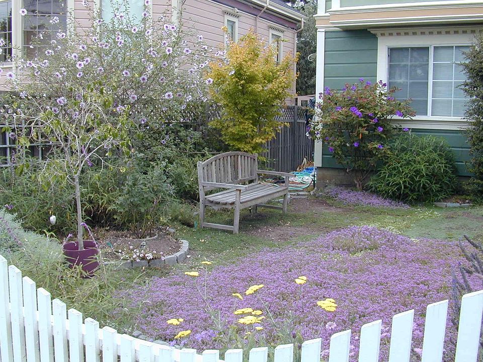 shared front yard