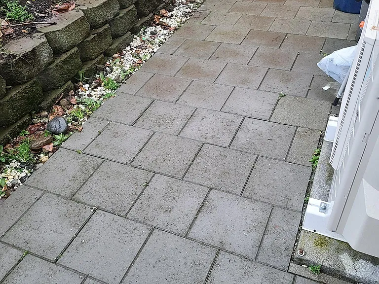 Backyard with paver stones and gate!