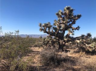 602 E Red Cloud Dr, Yucca, AZ 86438