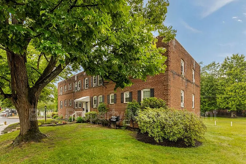 1 bed, 1.0 bath, $1,500 — Photo 2