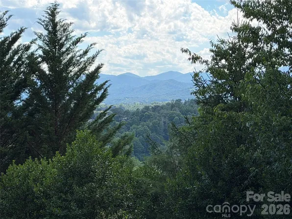 65 Buckle Rdg, Weaverville, NC 28787