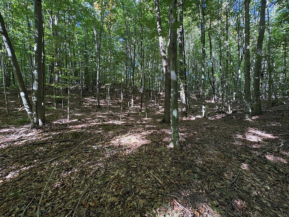 1st image of Bear Cave Rd