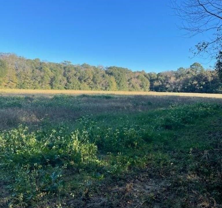 1st image of 10501 Tillman Ln