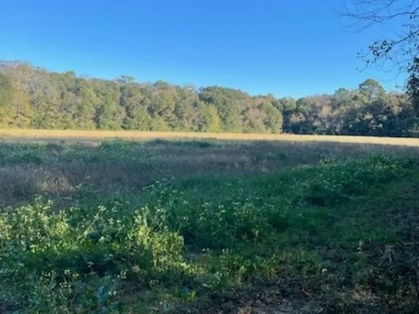 10501 Tillman Ln, Foley, AL 36535