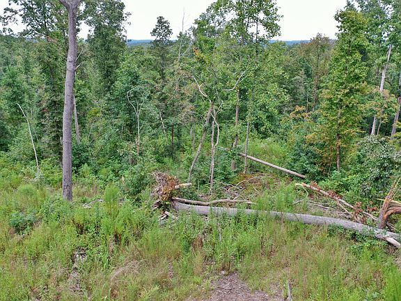 4th image of 1265 Lakeway Ln