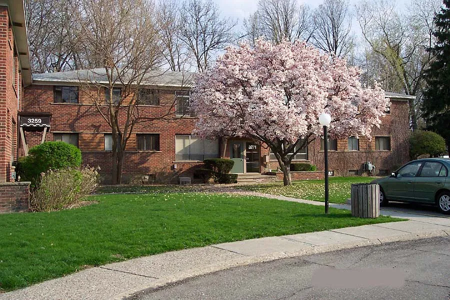 3218 Albert Ave #221