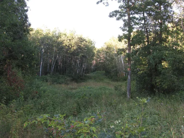 12th St SW, Backus, MN 56435