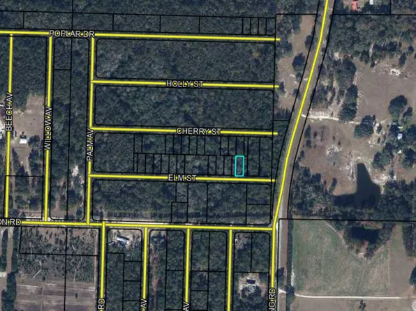 Lots 53/54 Elm St, Vernon, FL 32462