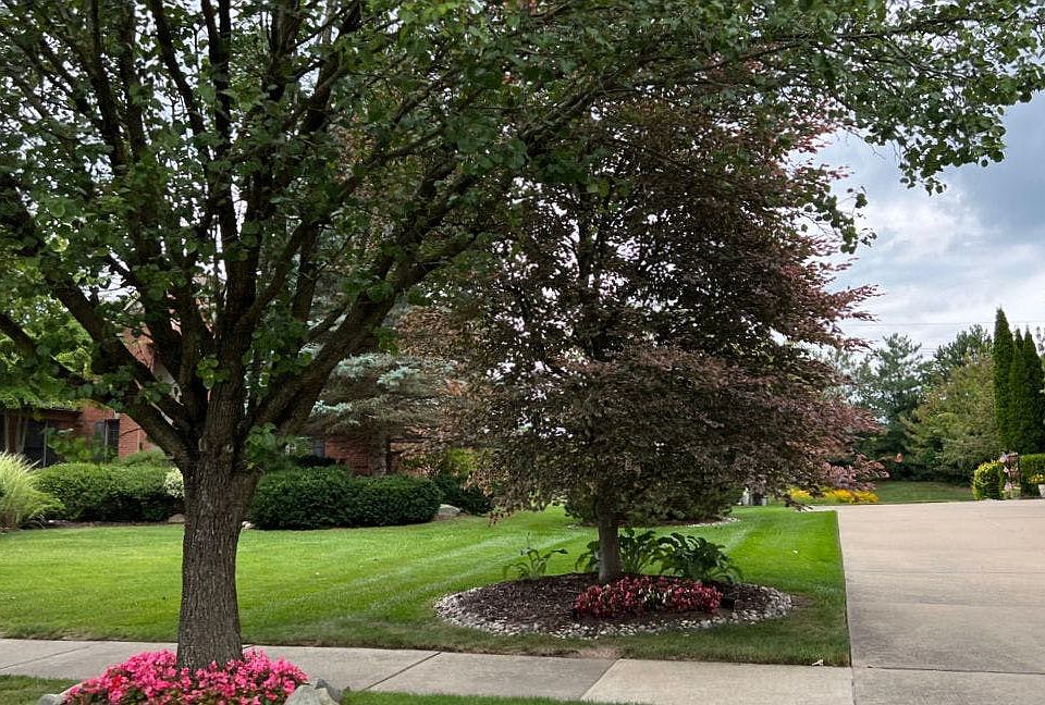 2nd image of 1250 Liberty Ct