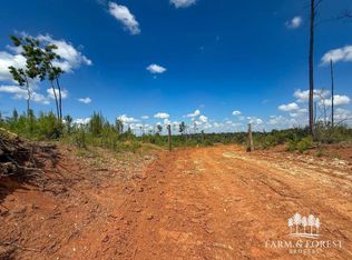 0 County Road 208, Jack, AL 36346