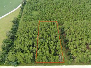 Vacant Ne Cottonwood St, Pinetta, FL 32350