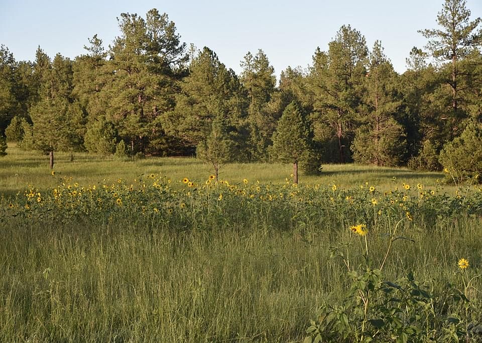 21270 Spirit Mountain Dr Aguilar, CO Zillow Apartments for Rent in