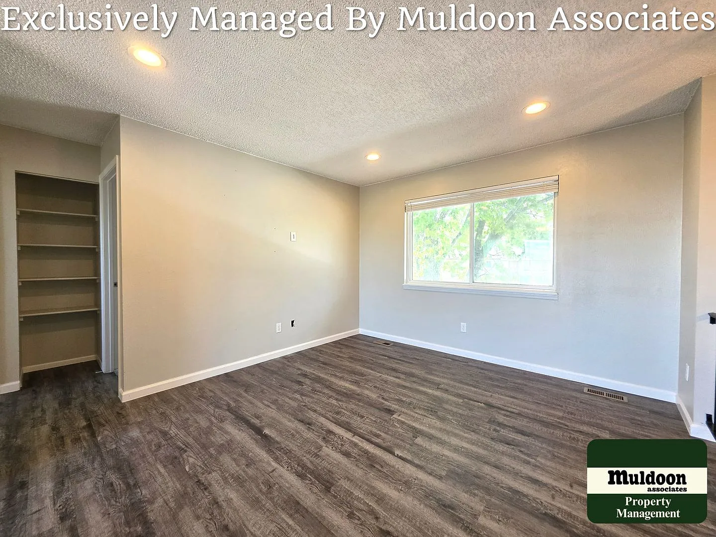 Updated 4-Bedroom Home with Two Living Areas & Spacious Deck — Photo 3