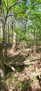 1642 R2 Kersey Valley Rd, Archdale, NC, 27263