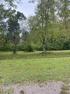 4th image of 516 Munro Rd