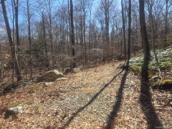 South Road, Holmes, NY 12531