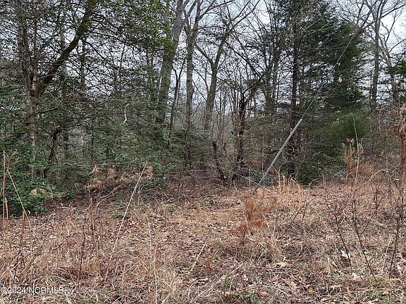 4th image of LOT 2 Us Highway 15 #501