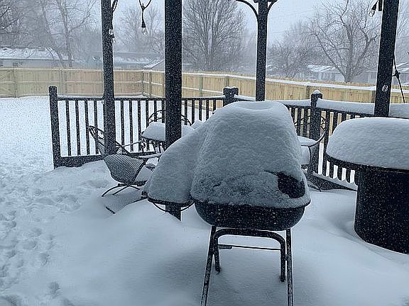 Back patio, privacy fence 
