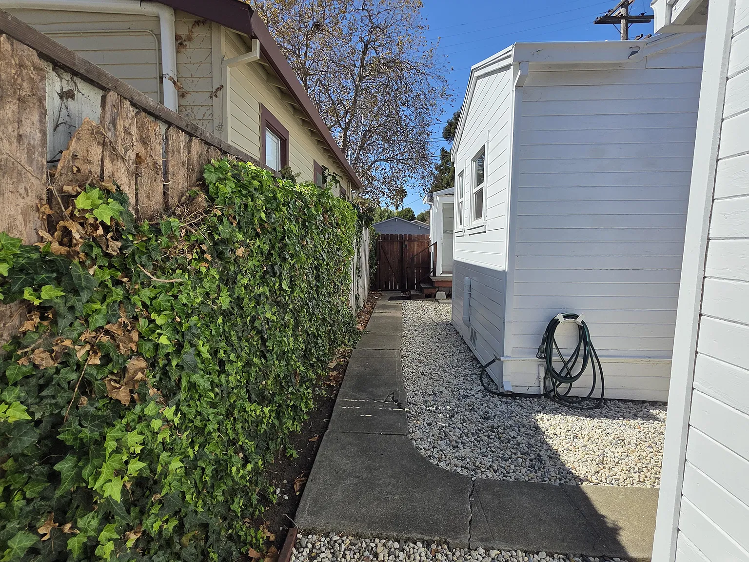 1 bed, 528 sqft, $1,500 — Photo 3