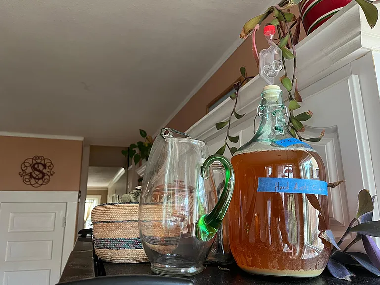 Kitchen | Hard apple cider project from Fall 2023.