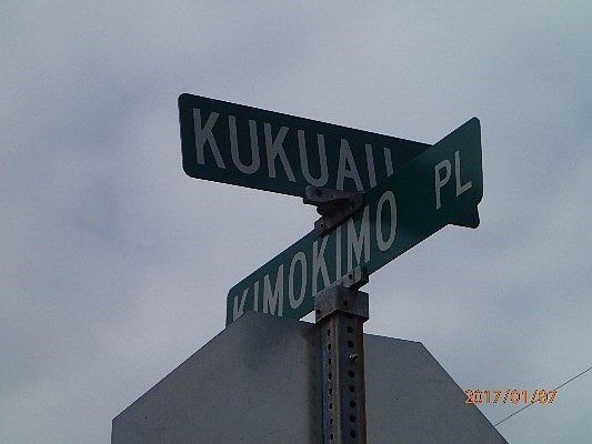 4th image of 179 Kimokimo Pl Lot 427