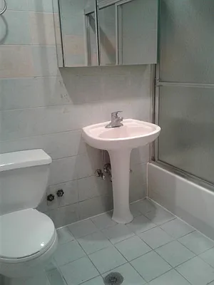 Rented by GPS Realty NYC | media 8