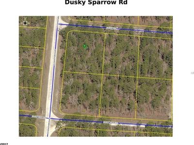 Dusky Sparrow Rd, Weeki wachee, FL, 34614