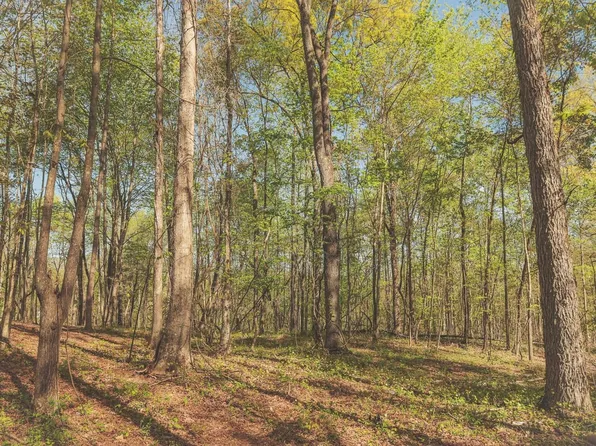 Howard Hutsell Ln, Spring City, TN 37381