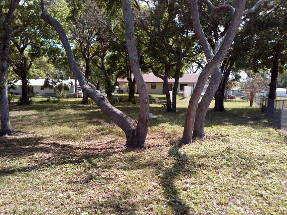 Beautiful shade trees.