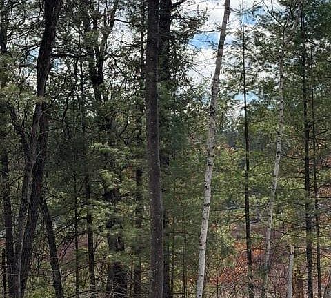 5th image of TBD East Long Lake Road
