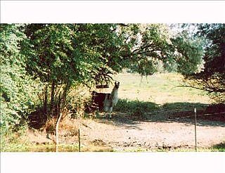 5th image of 1110 Fir Ave