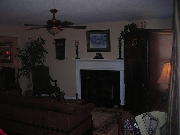 Fireplace in living room