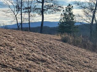 95 Fallen Leaf Rd, Mineral Bluff, GA 30559