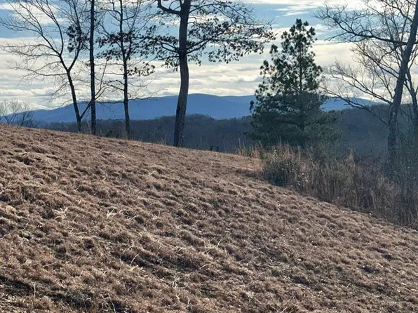 95 Fallen Leaf Rd, Mineral Bluff, GA 30559