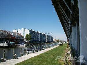 Picture 007
