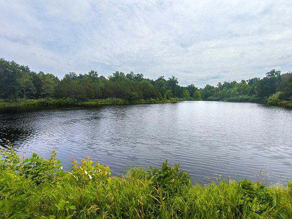 3rd image of 16880 Malone Rd